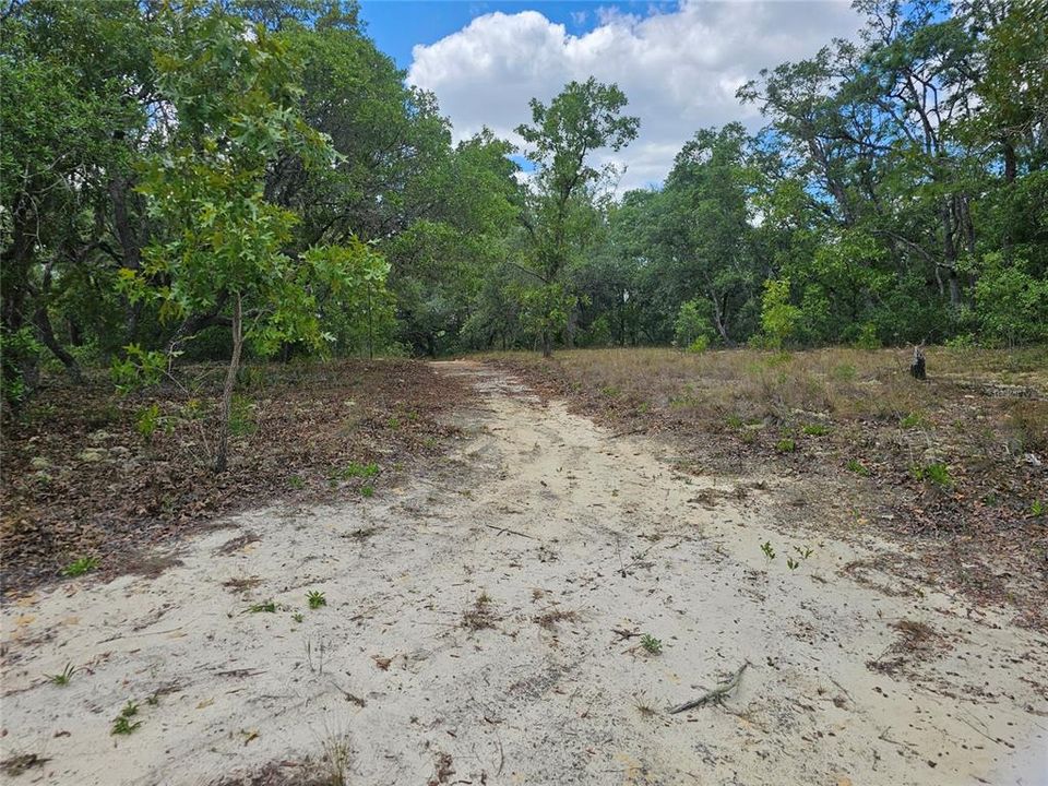 For Sale: $74,900 (2.66 acres)