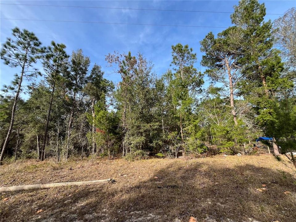 На продажу: $8,300 (0.36 acres)