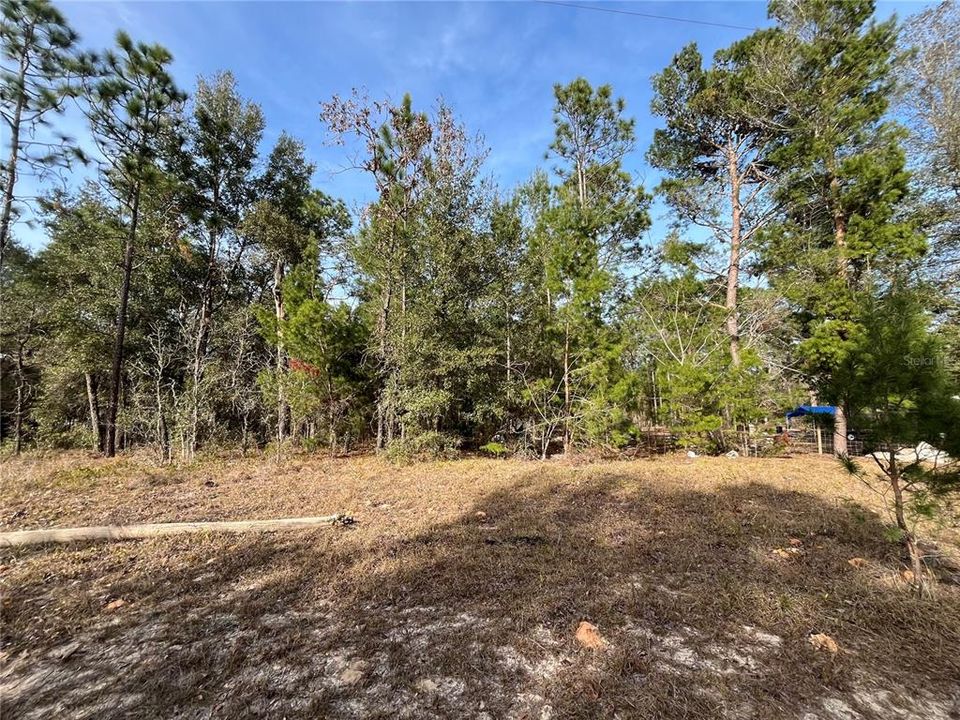На продажу: $8,300 (0.36 acres)