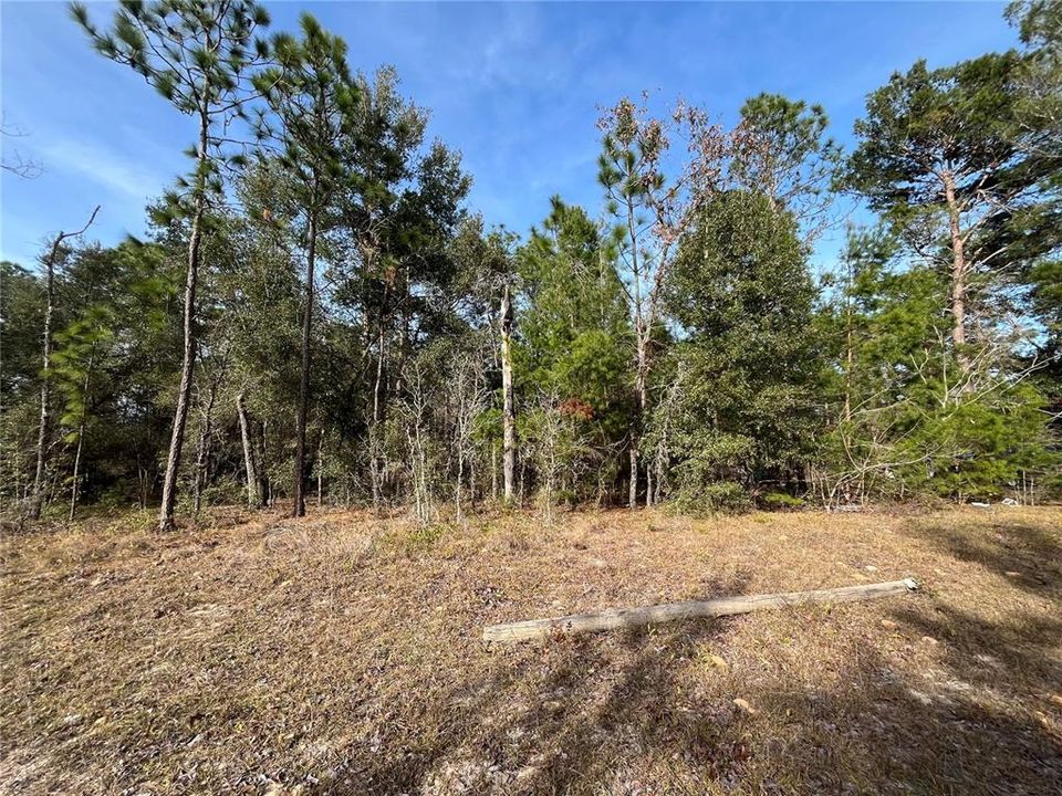 На продажу: $8,300 (0.36 acres)
