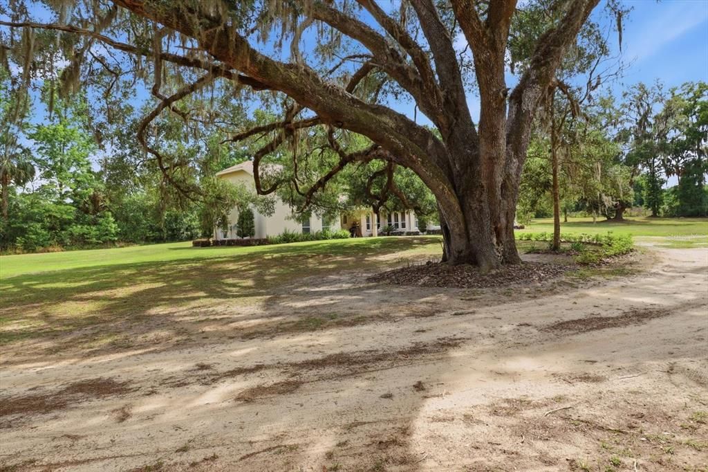 En Venta: $624,999 (4 camas, 3 baños, 2500 Pies cuadrados)