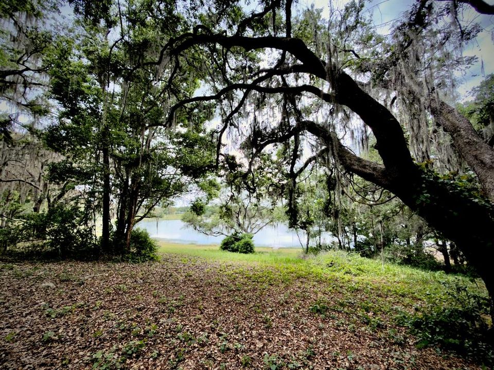 На продажу: $229,000 (6.91 acres)