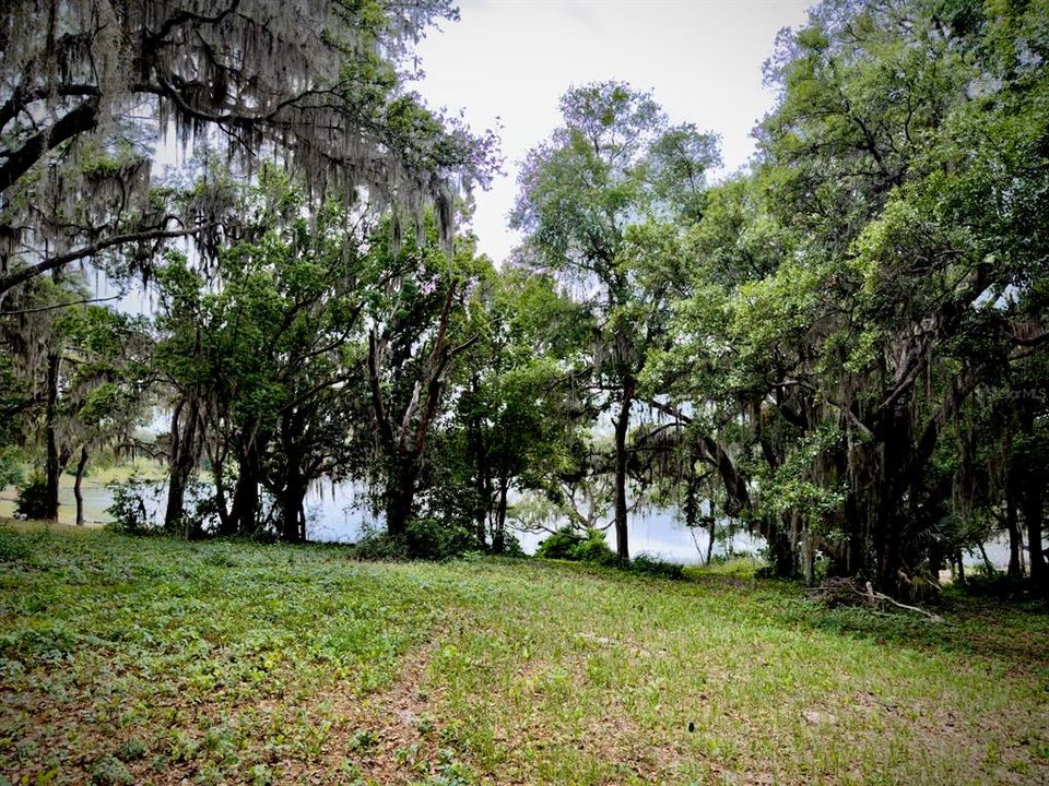 На продажу: $229,000 (6.91 acres)
