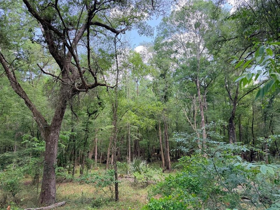 En Venta: $330,000 (2 camas, 3 baños, 3042 Pies cuadrados)