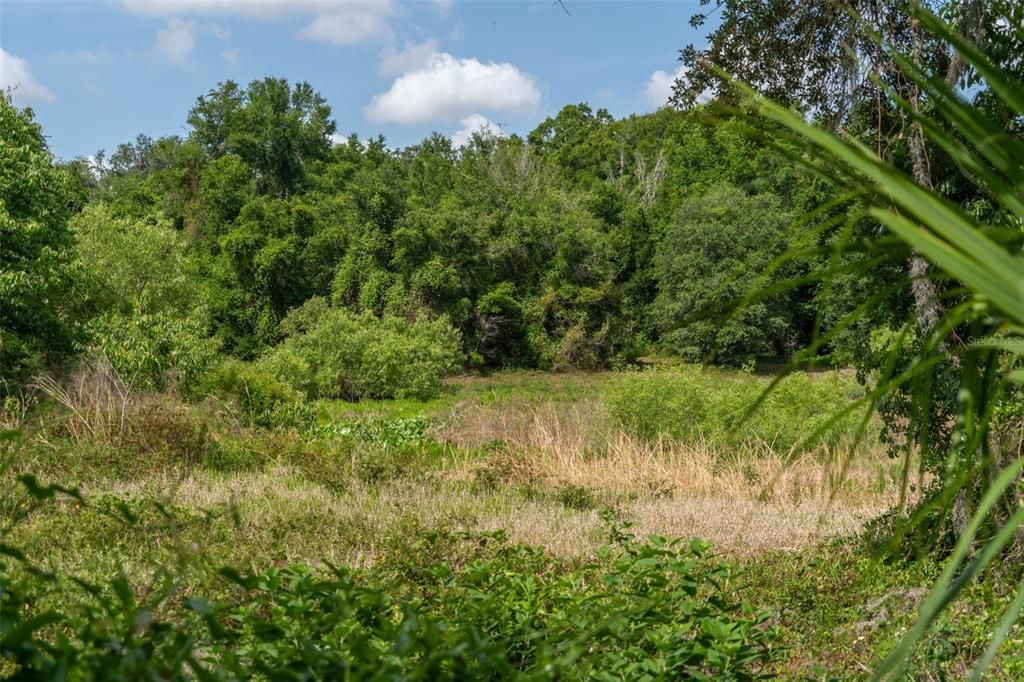 En Venta: $209,900 (2.50 acres)