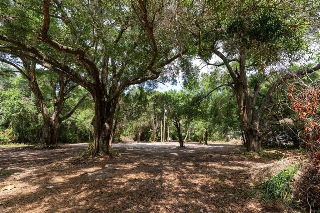 En Venta: $209,900 (2.50 acres)