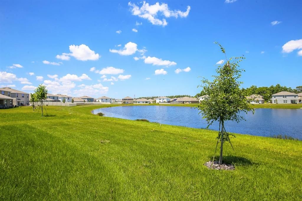 For Rent: $2,450 (4 beds, 2 baths, 1846 Square Feet)