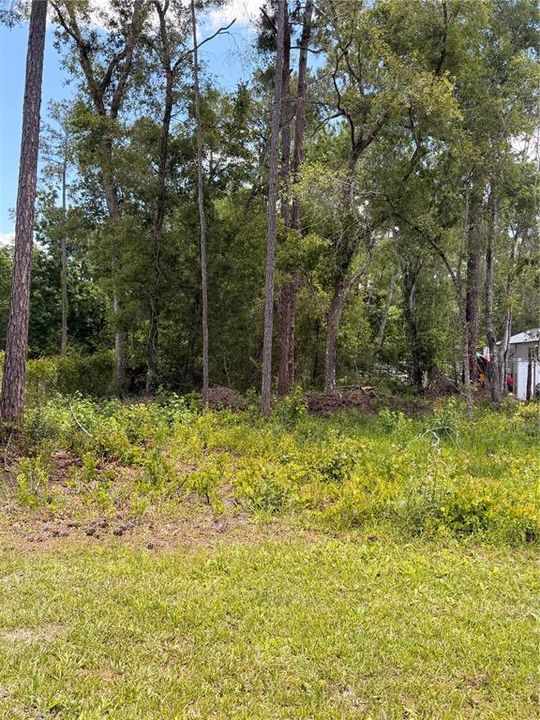For Sale: $55,000 (0.26 acres)