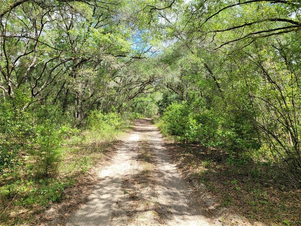 En Venta: $10,000 (0.27 acres)