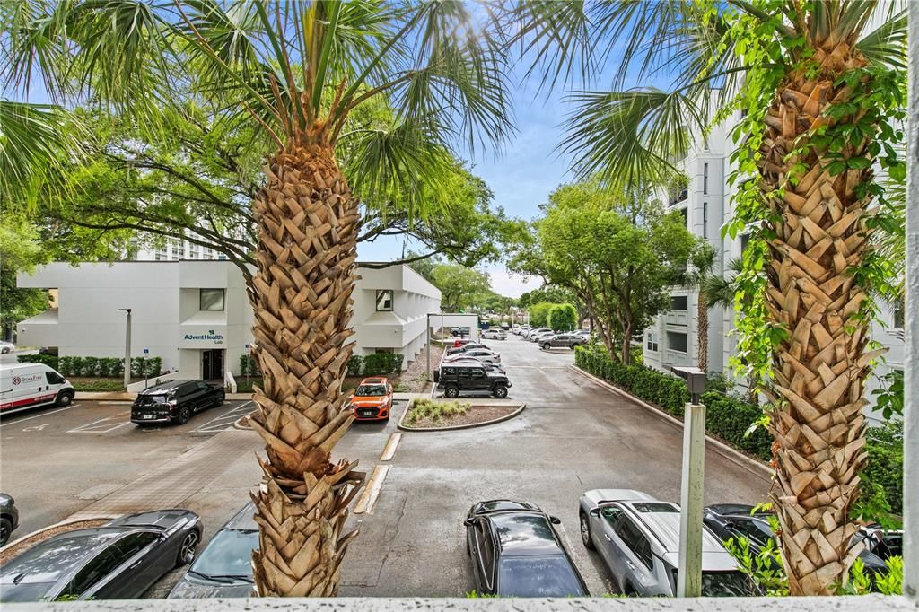 Activo con contrato: $145,000 (1 camas, 1 baños, 667 Pies cuadrados)