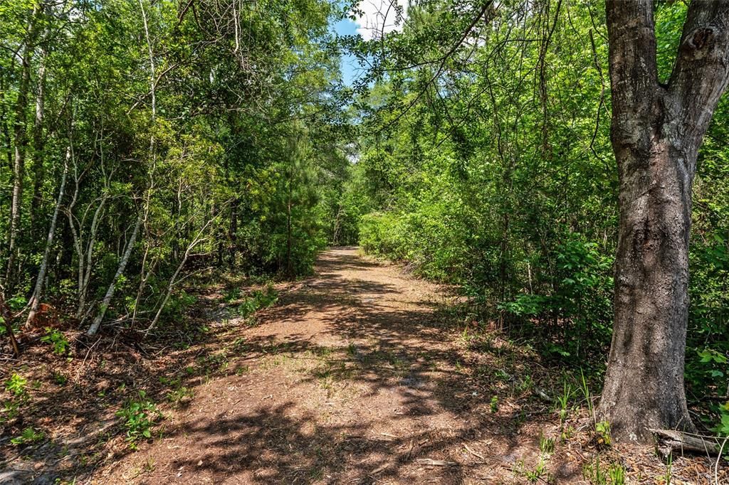 For Sale: $299,000 (10.70 acres)