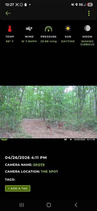 For Sale: $299,000 (10.70 acres)