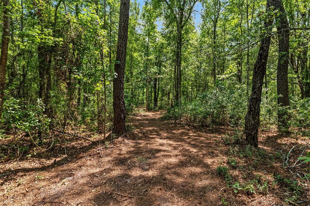 For Sale: $299,000 (10.70 acres)