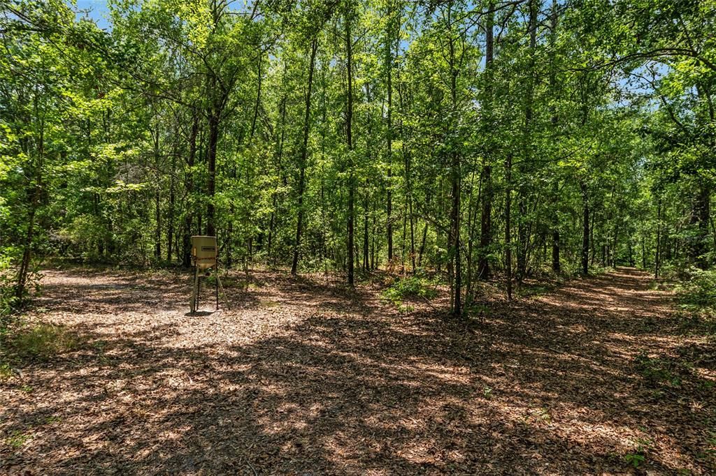 For Sale: $299,000 (10.70 acres)