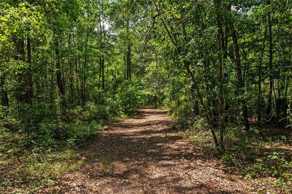 For Sale: $299,000 (10.70 acres)