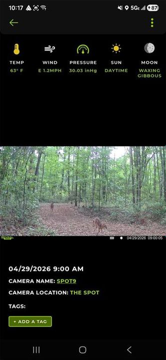 For Sale: $299,000 (10.70 acres)