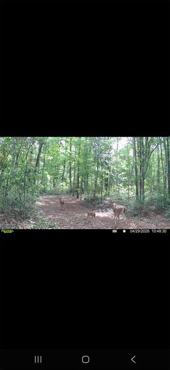 For Sale: $299,000 (10.70 acres)