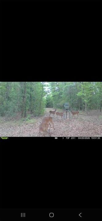 For Sale: $299,000 (10.70 acres)