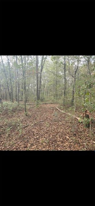 For Sale: $299,000 (10.70 acres)