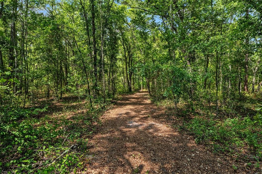 For Sale: $299,000 (10.70 acres)
