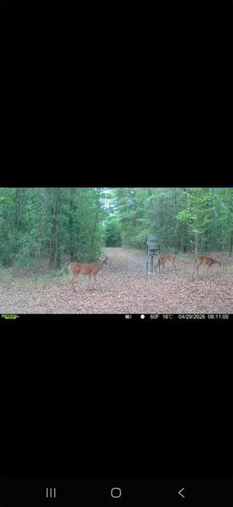 For Sale: $299,000 (10.70 acres)