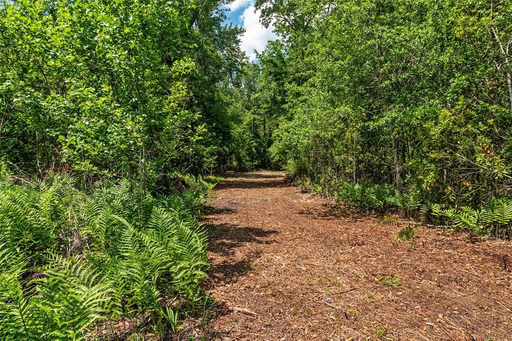 For Sale: $299,000 (10.70 acres)