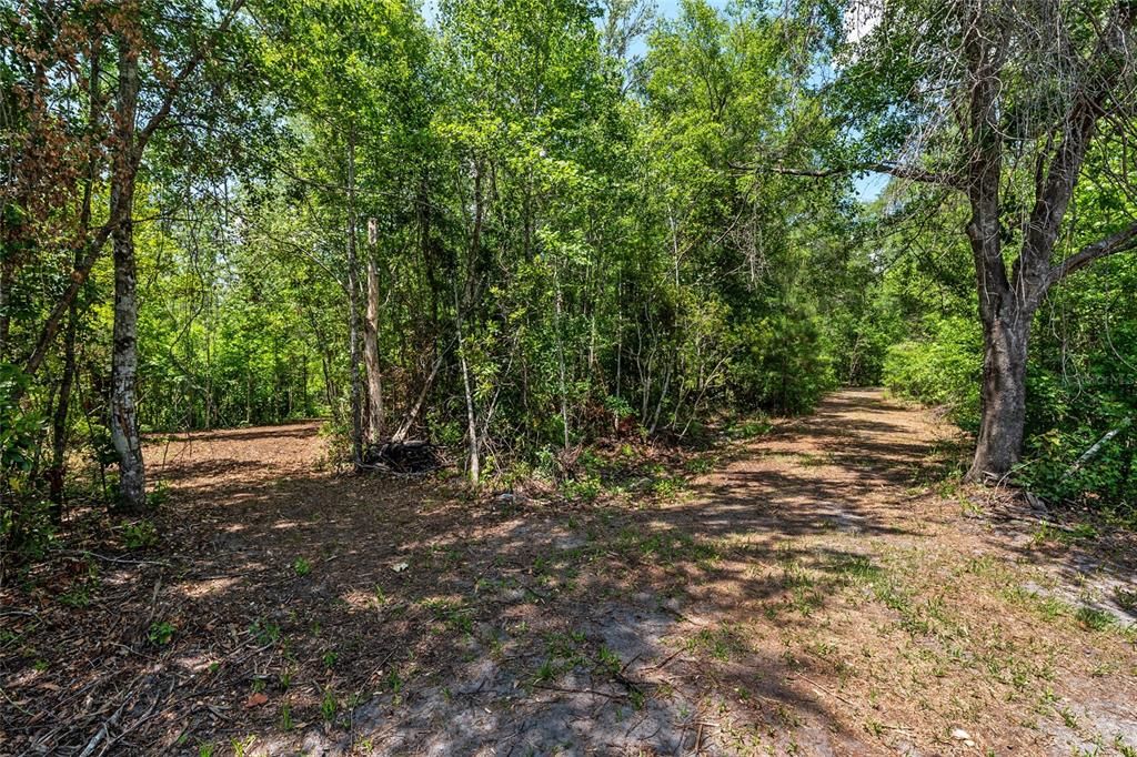 For Sale: $299,000 (10.70 acres)