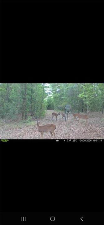 For Sale: $299,000 (10.70 acres)