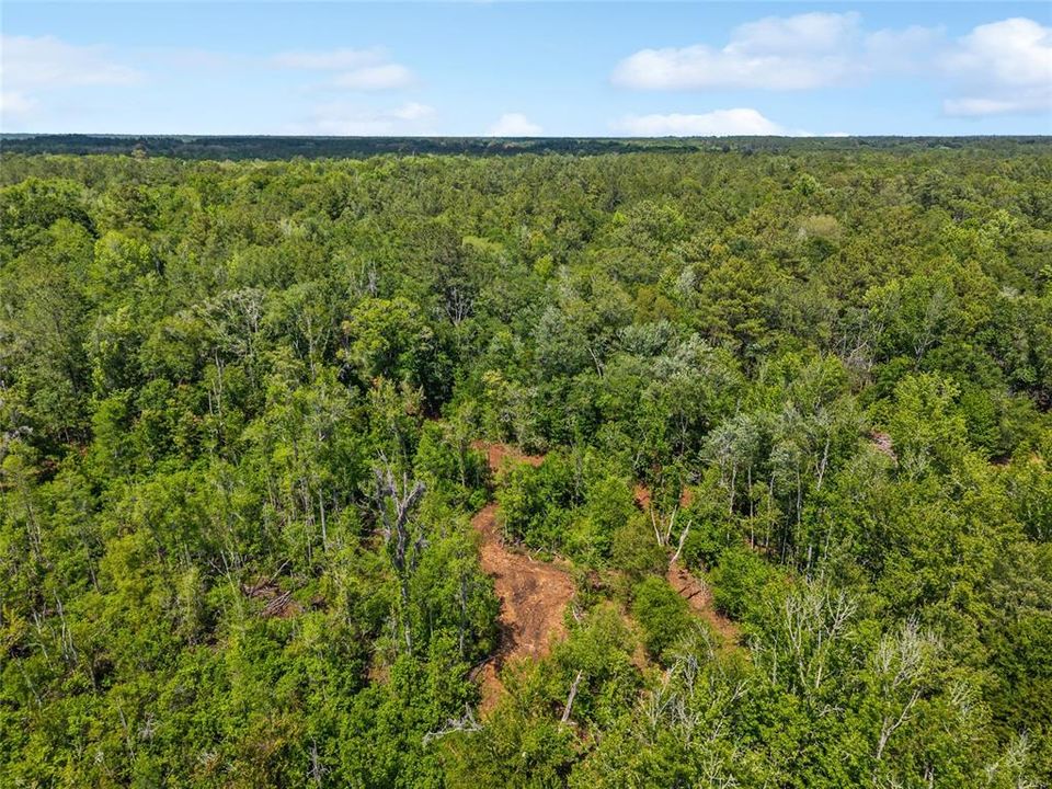 For Sale: $299,000 (10.70 acres)