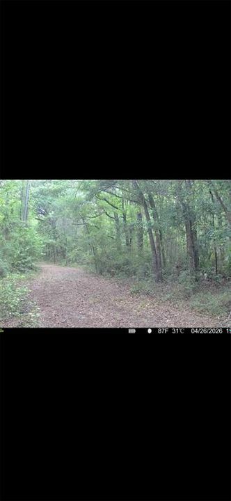 For Sale: $299,000 (10.70 acres)