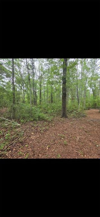 For Sale: $299,000 (10.70 acres)