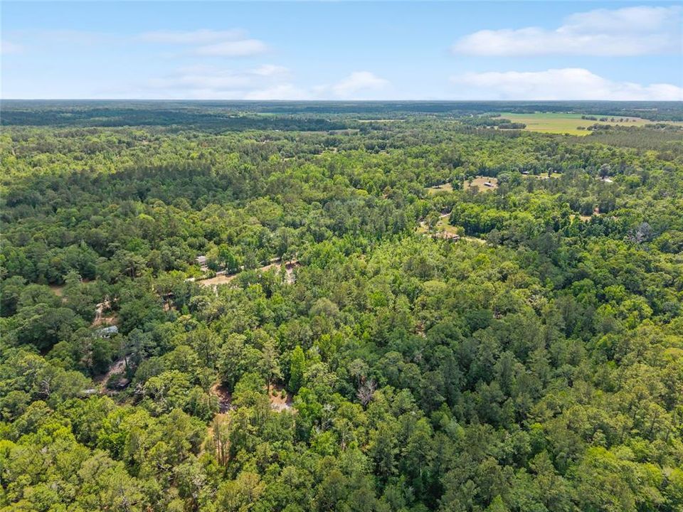 For Sale: $299,000 (10.70 acres)