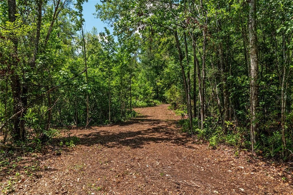 For Sale: $299,000 (10.70 acres)