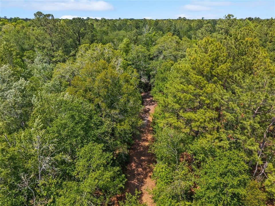 For Sale: $299,000 (10.70 acres)