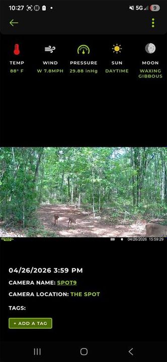 For Sale: $299,000 (10.70 acres)