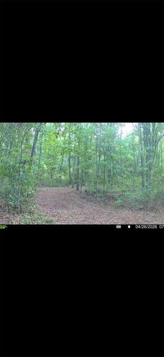 For Sale: $299,000 (10.70 acres)