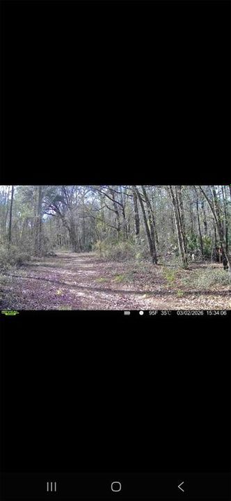For Sale: $299,000 (10.70 acres)