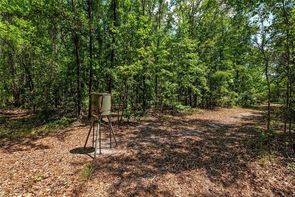 For Sale: $299,000 (10.70 acres)