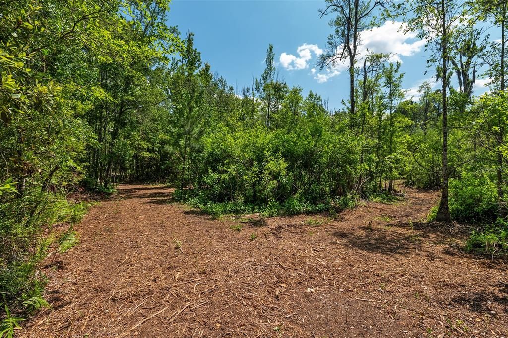 For Sale: $299,000 (10.70 acres)