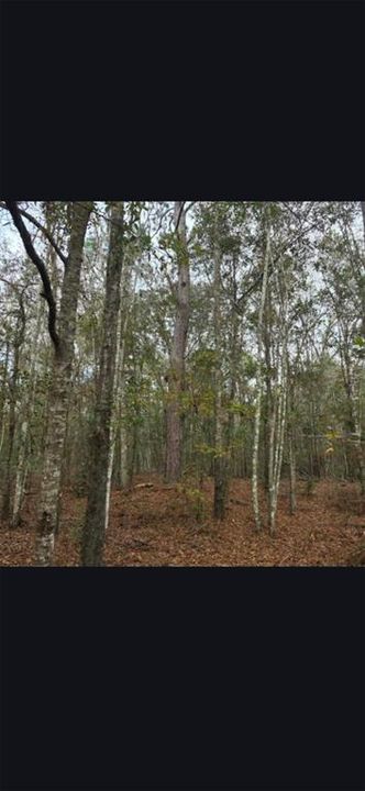 For Sale: $299,000 (10.70 acres)