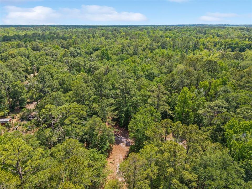 For Sale: $299,000 (10.70 acres)