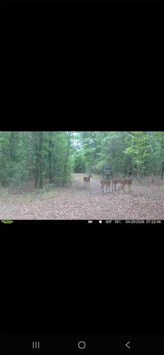 For Sale: $299,000 (10.70 acres)