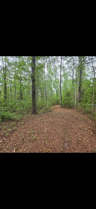For Sale: $299,000 (10.70 acres)