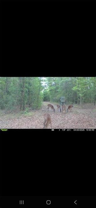 For Sale: $299,000 (10.70 acres)