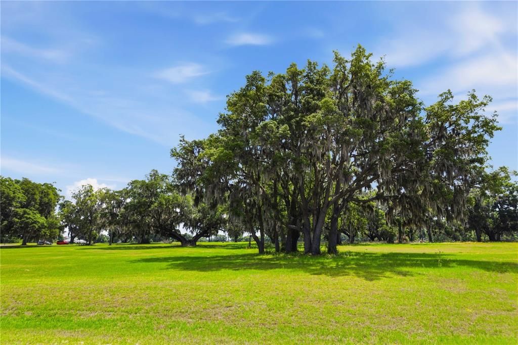 For Sale: $420,000 (4.10 acres)