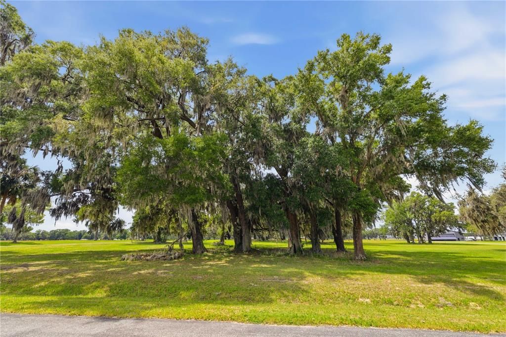 For Sale: $420,000 (4.10 acres)