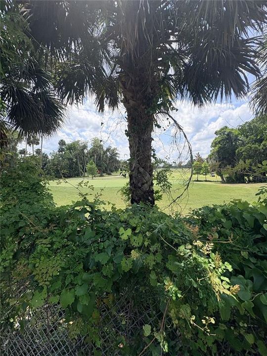 For Rent: $1,750 (2 beds, 2 baths, 1005 Square Feet)
