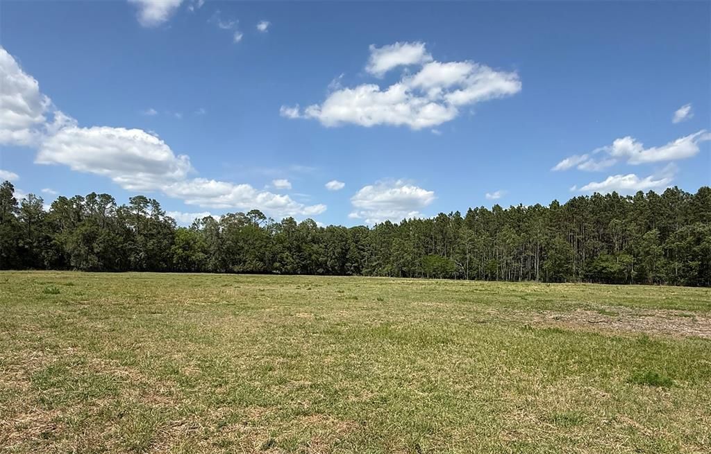 合同活跃: $464,000 (28.79 acres)