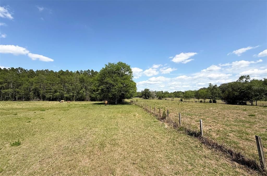 合同活跃: $464,000 (28.79 acres)