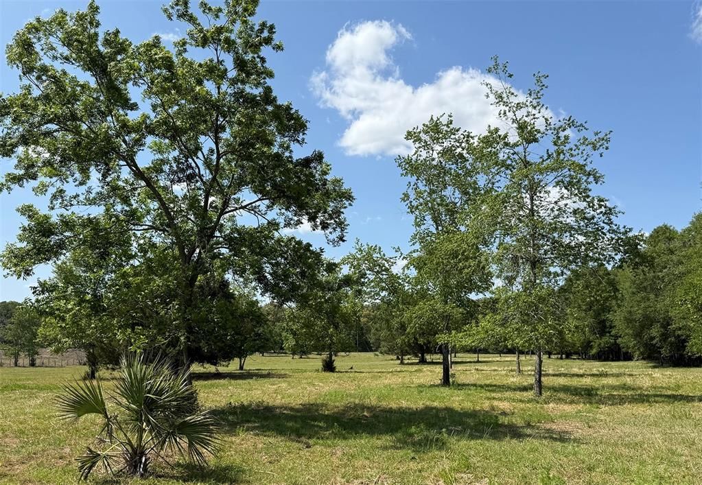 合同活跃: $464,000 (28.79 acres)